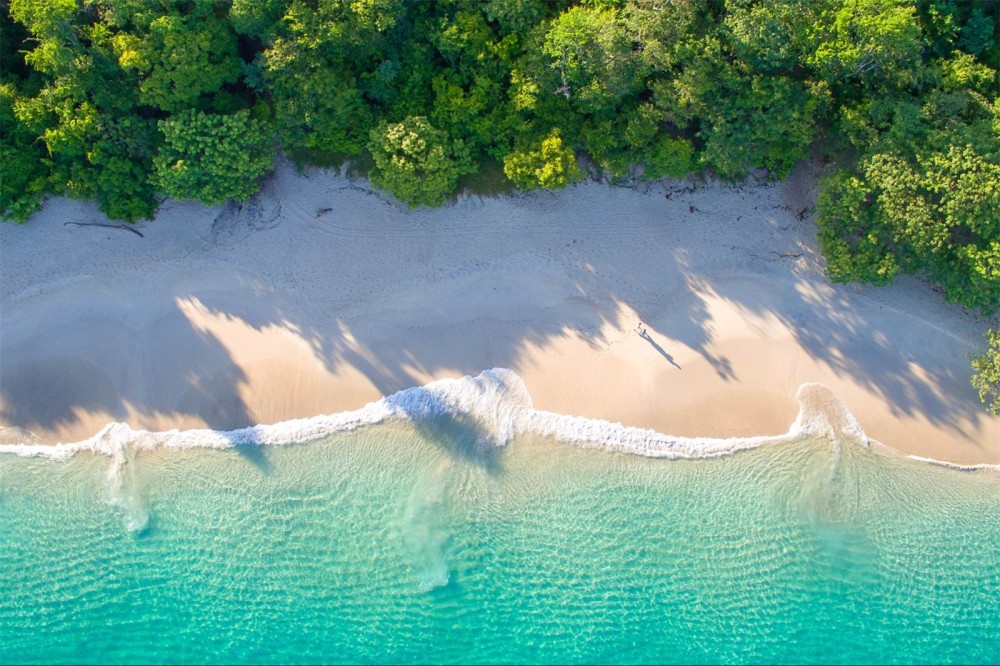 Reserva Conchal Image 6